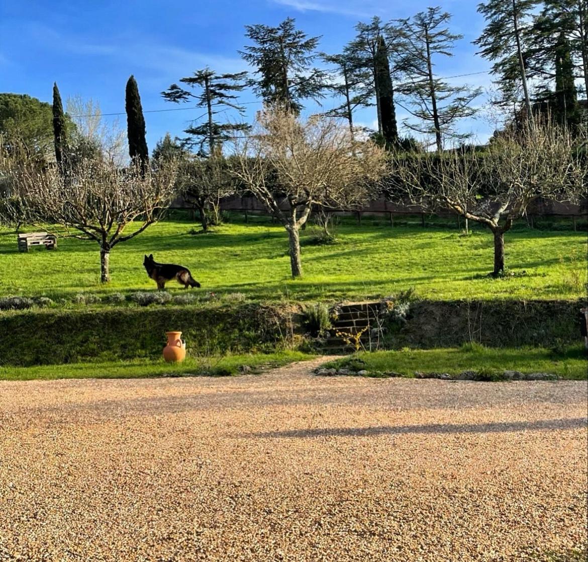 Agriturismo La Corte Del Sole Siena Exterior foto