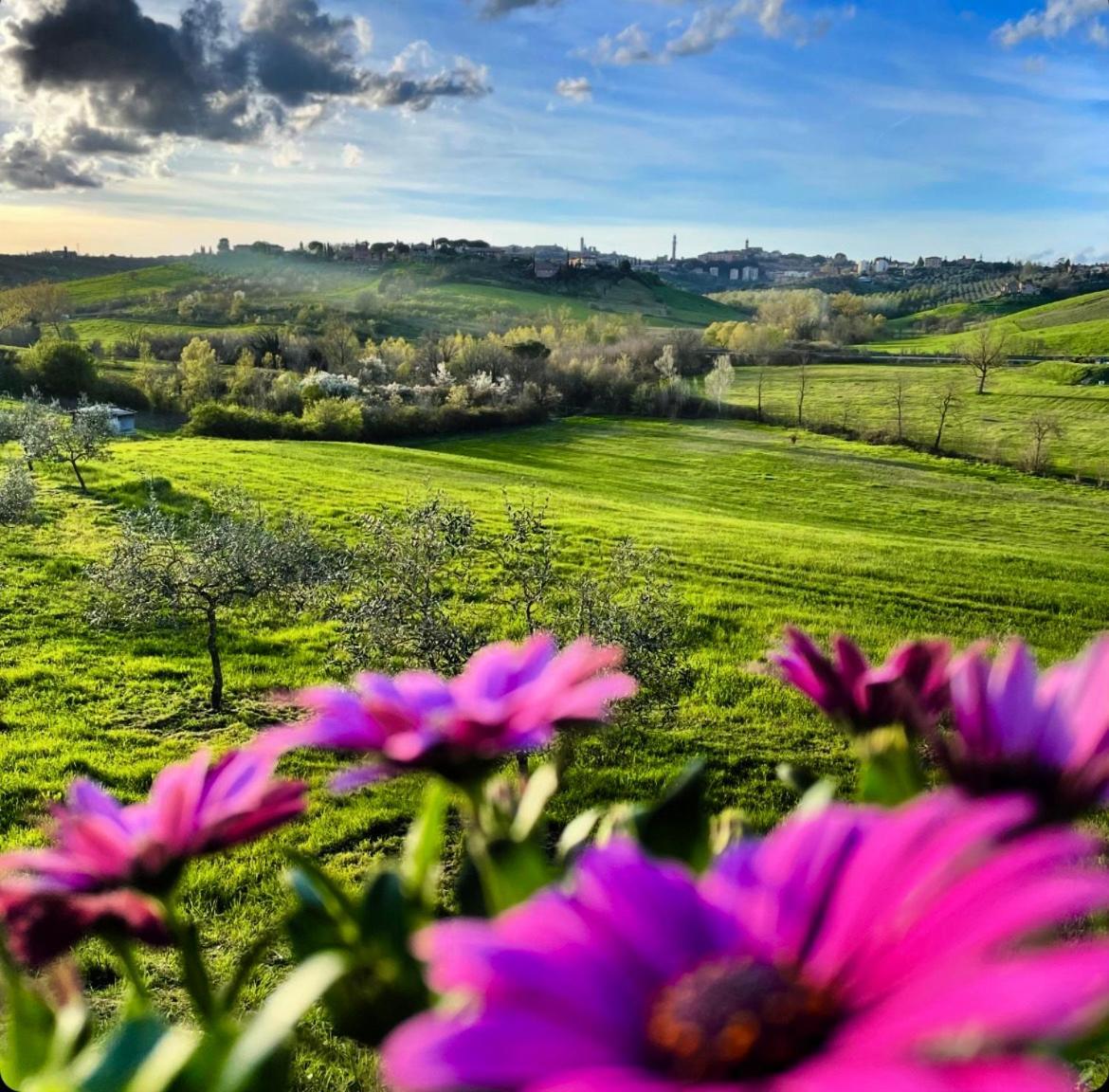 Agriturismo La Corte Del Sole Siena Exterior foto