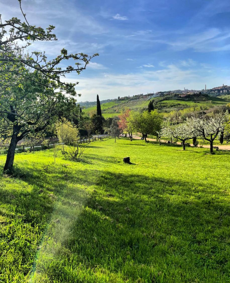 Agriturismo La Corte Del Sole Siena Exterior foto