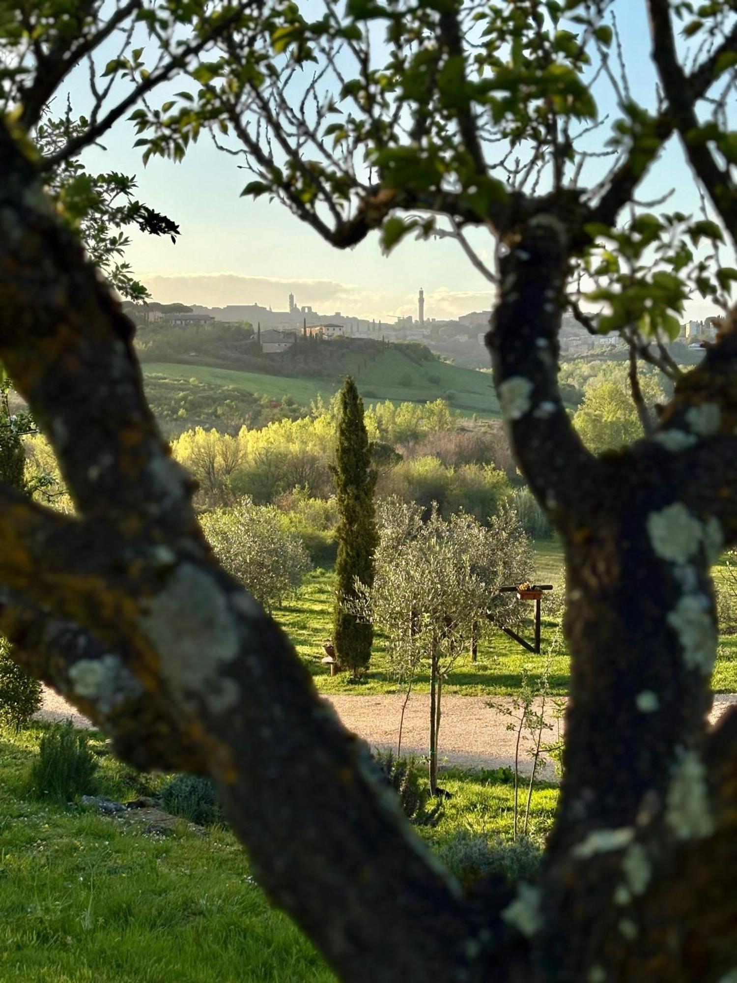 Agriturismo La Corte Del Sole Siena Exterior foto